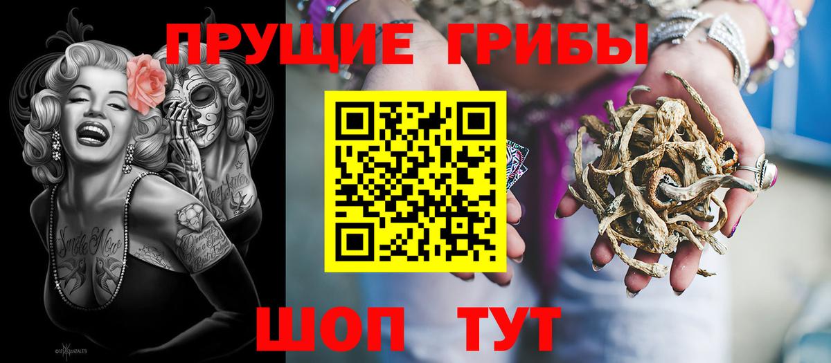 Псилоцибиновые грибы MAGIC MUSHROOMS Канаш
